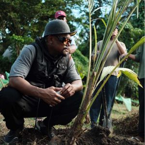 [resized 800px] omtse - Apl coconut tree plant