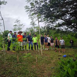 [resized 800px] omtse - moringa